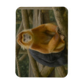 Nacktfresser Affe in der Waldhütte Magnet (Vertikal)