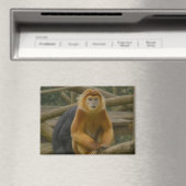 Nacktfresser Affe in der Waldhütte Magnet (In Situ (Geschirrspüler))