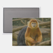 Nacktfresser Affe in der Waldhütte Magnet (Vorderseite/Rückseite)