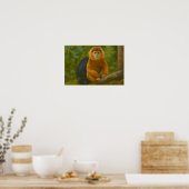 Nacktfresser Affe in der Waldhütte Poster (Küche)