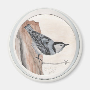 Nacktschnecke Magnet