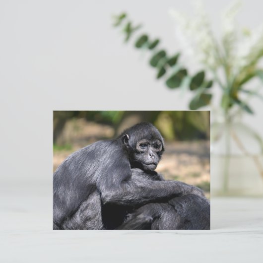 Nacktschnecke Postkarte (Stehend Vorderseite)