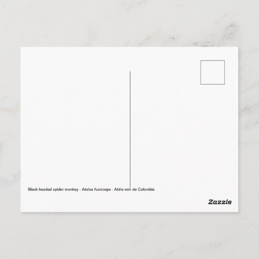 Nacktschnecke Postkarte (Rückseite)