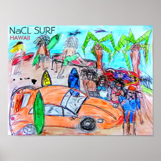 NaCL SURF HAWAII Poster