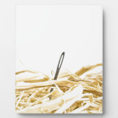 Nadel im Heuhaufen Fotoplatte (Vorderseite)