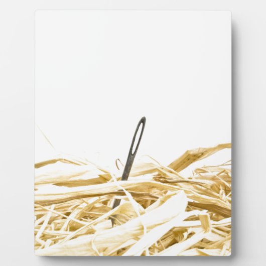 Nadel im Heuhaufen Fotoplatte (Vorderseite)