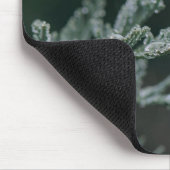Nadelbaum, Zweig, Tau Mousepad (Ecke)