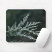 Nadelbaum, Zweig, Tau Mousepad (Mit Mouse)