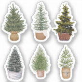 Nadelbäume Aufkleber (Vorderseite)