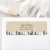 Nadelbäume, Kiefernbäume, Evergreen (Insitu)