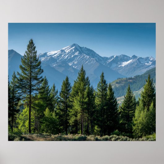 Nadelbäume mit Bergkulisse Poster (Vorne)