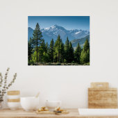 Nadelbäume mit Bergkulisse Poster (Küche)