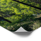 Nadelbäume mit Bergkulisse Poster (Ecke)