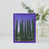 Nadelbäume - Starry Eve, Postkarte (Stehend Vorderseite)