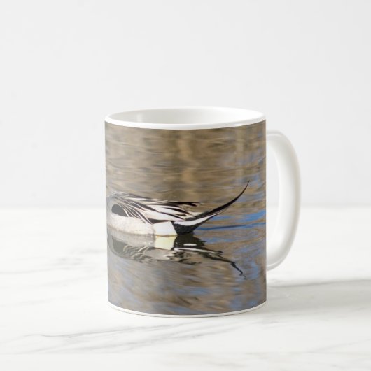 Nadelente schwimmt in einem Teich Kaffeetasse (VorderseiteRechts)