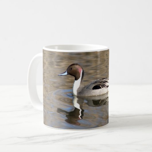 Nadelente schwimmt in einem Teich Kaffeetasse (Vorderseite Links)