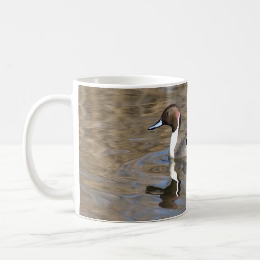 Nadelente schwimmt in einem Teich Kaffeetasse (Links)