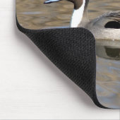 Nadelente schwimmt in einem Teich Mousepad (Ecke)