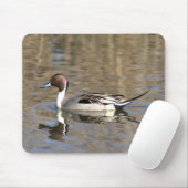 Nadelente schwimmt in einem Teich Mousepad (Mit Mouse)