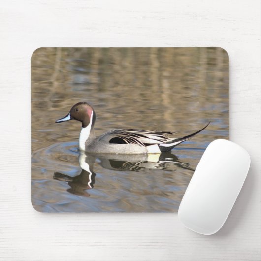 Nadelente schwimmt in einem Teich Mousepad (Mit Mouse)