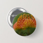 NadelkissenProtea Button (Vorne & Hinten)