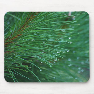 Nadeln aus Nasskiefer und grüne Kiefernnadeln Mousepad