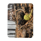 Nadeln und Kegel, Waldfußboden, Sequoia NP Magnet (Vertikal)