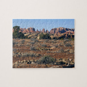 Nadeln vom Pothole Point Trail im Canyonlands Puzzle