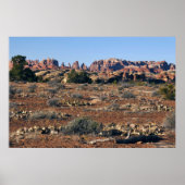 Nadeln vom Pothole Point Trail Poster (Vorne)