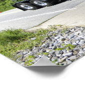 Nadelnase Pete Poster (Ecke)