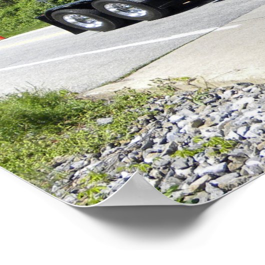 Nadelnase Pete Poster (Ecke)