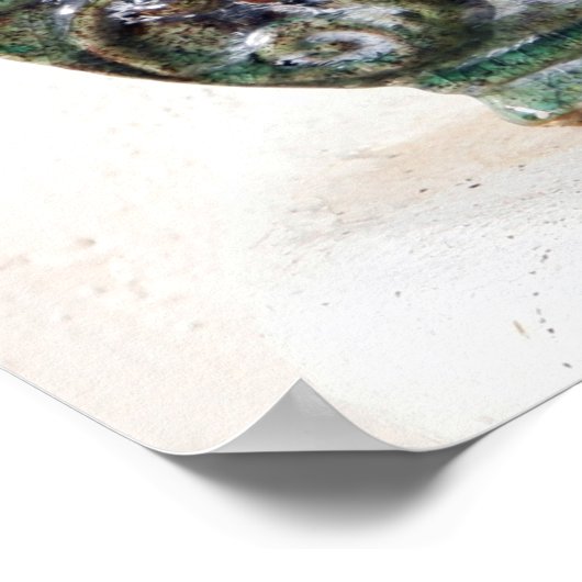 Nadelsikkulente Poster (Ecke)