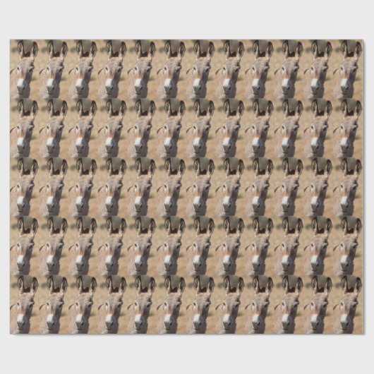 Nagelfass Geschenkpapier (Flach)