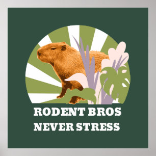 Nagetier-Brüder Stressfrei Capybara Poster