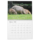 Nagetierkalender Kalender (Feb 2026)
