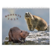 Nagetierkalender Kalender (Titelbild)