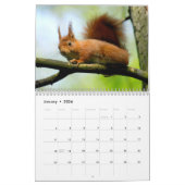 Nagetierkalender Kalender (Jan 2026)