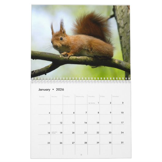 Nagetierkalender Kalender (Jan 2026)