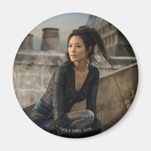 Nagini auf dem Dach-Foto Magnet (Vorne)