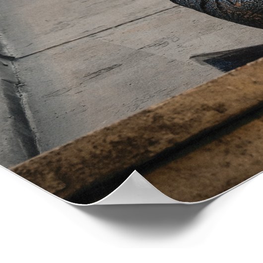 Nagini & Credence Foto Poster (Ecke)