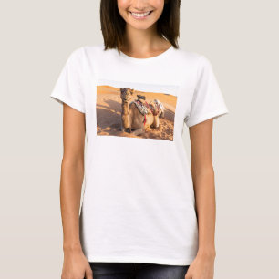 Nah auf Camel im T - Shirt der Oman-Wüste