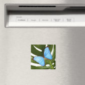 Nah auf einem blauen Morpho-Schmetterling auf eine Magnet (In Situ (Geschirrspüler))