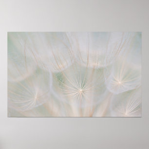 Nah auf einem Samenkopf, Kanada Poster