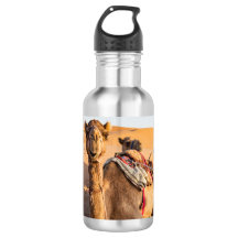 Nah auf lustigem Kamel in der Wüste Oman Wahiba