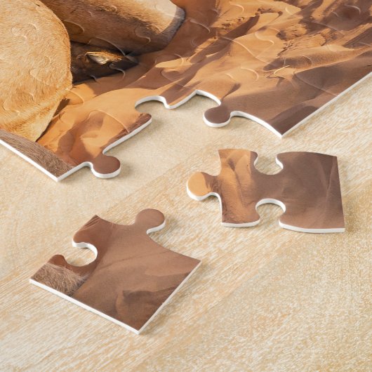 Nah auf lustigem Kamel in der Wüste Oman Wahiba Puzzle (Seite)