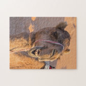 Nah auf lustigem Kamelkopf in der Wüste Oman Wahib Puzzle (Horizontal)