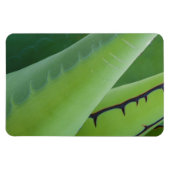 Nah aufgegeben magnet (Horizontal)