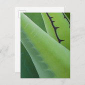 Nah aufgegeben postkarte (Vorne/Hinten)