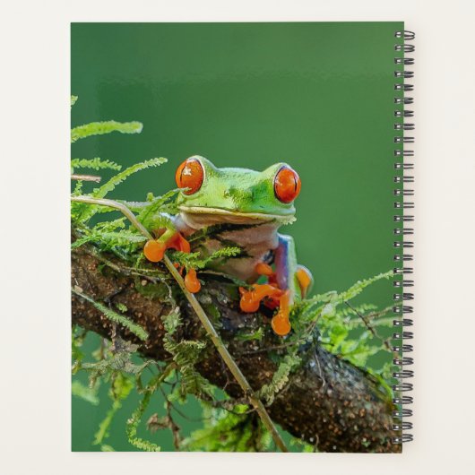 Nah aus einem Mit Augen Baumfrosch Planer (Rückseite)