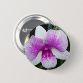nah aus einer wunderschönen lila-weißen Orchidee Button (Vorne & Hinten)